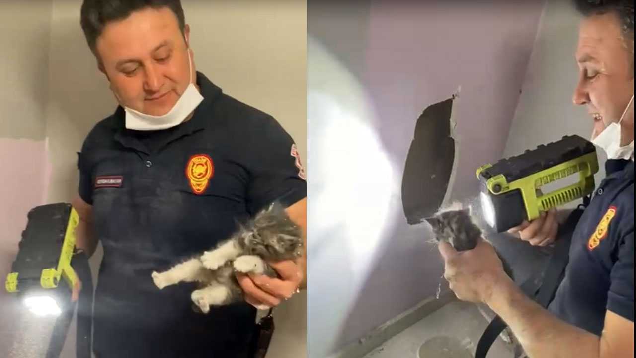 Mahsur kalan kediyi itfaiye ekipleri kurtardı