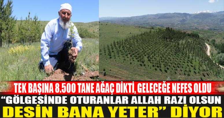 Selim amca tek başına 8.500 tane ağaç dikti, Geleceğe Nefes oldu.