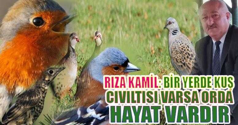 Rıza Kamil: Bir yerde kuş cıvıltısı varsa orda hayat vardır