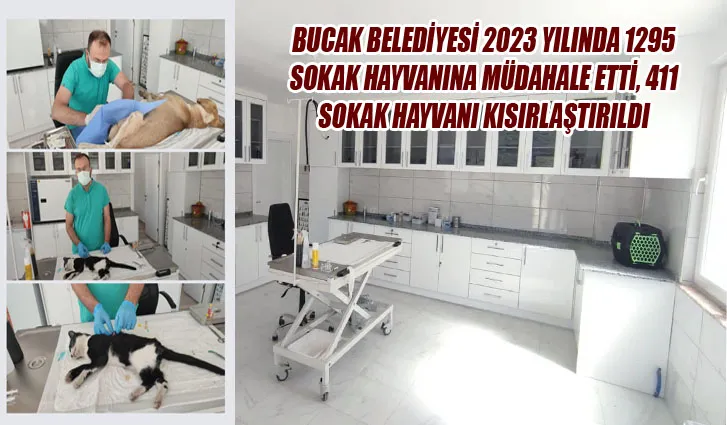            BUCAK BELEDİYESİ 2023 YILINDA 1295 SOKAK HAYVANINA MÜDAHALE ETTİ, 411 SOKAK HAYVANI KISIRLAŞTIRILDI