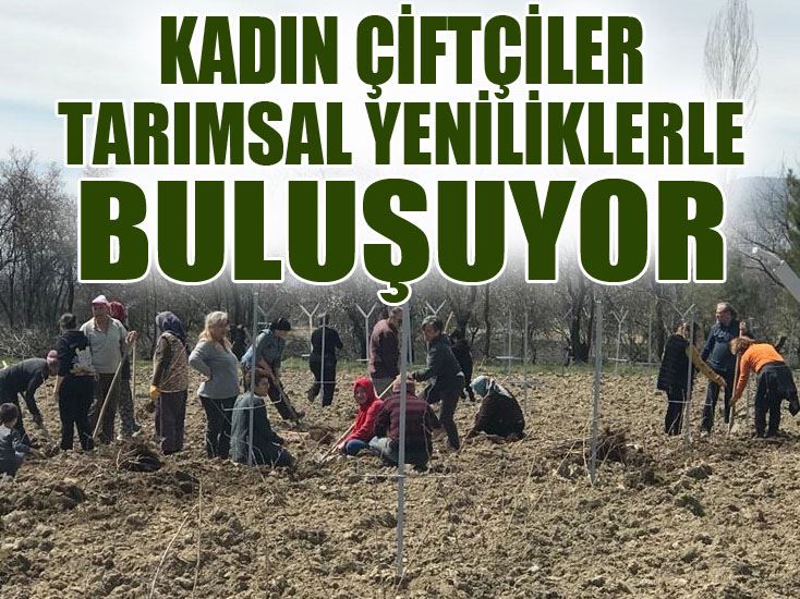 Kadın Çiftçiler Tarımsal Yeniliklerle Buluşuyor