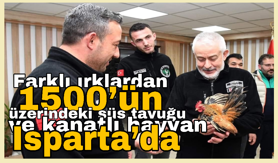Farklı ırklardan 1500’ün üzerindeki süs tavuğu ve kanatlı hayvan Isparta’da