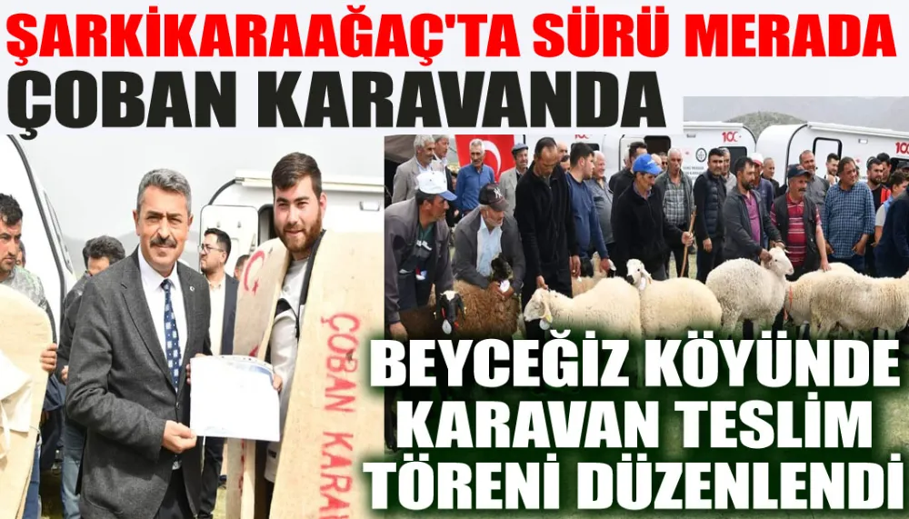 Şarkikaraağaç