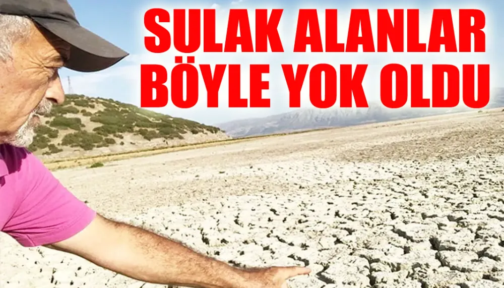 Sulak alanlar böyle yok oldu