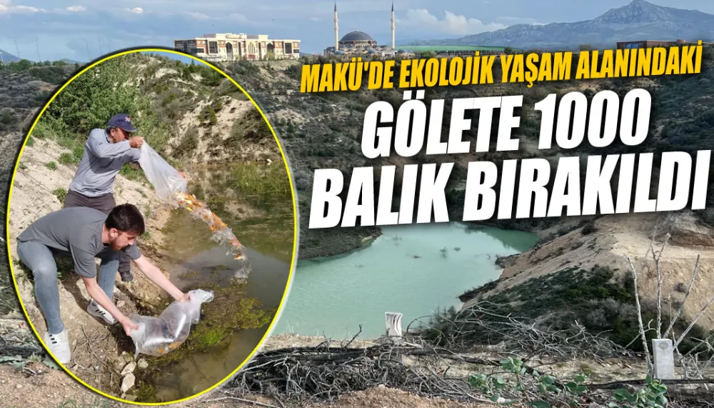 MAKÜ