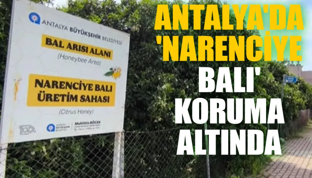 Antalya