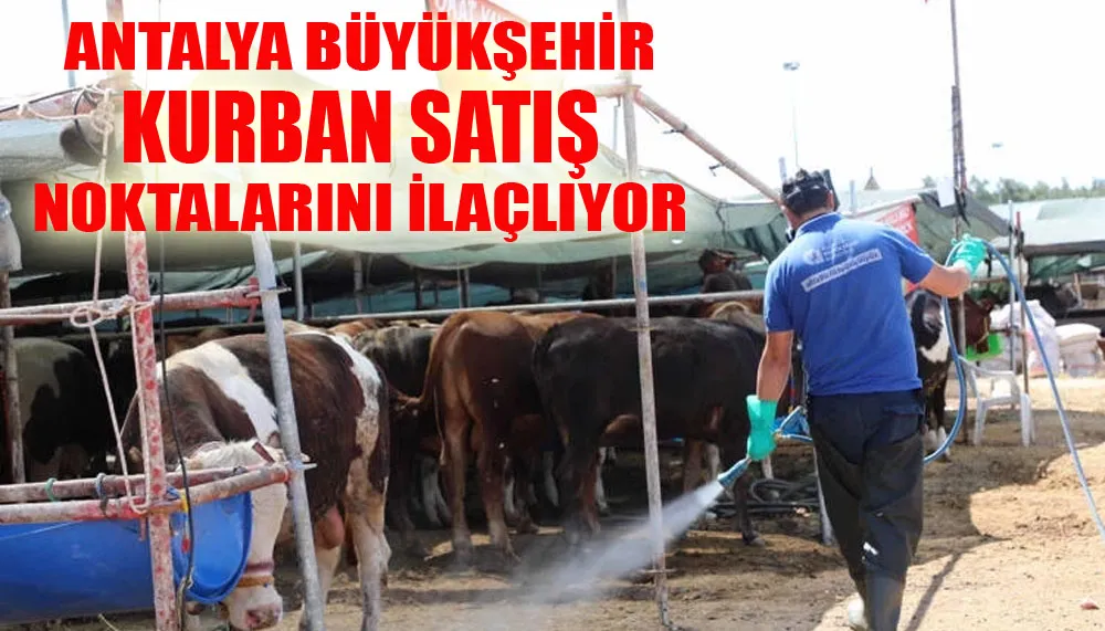 Antalya Büyükşehir kurban satış noktalarını ilaçlıyor