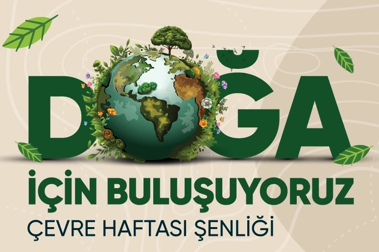 Bursa