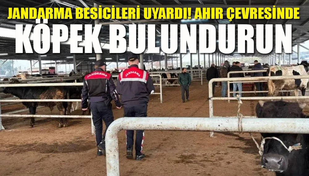 Jandarma besicileri uyardı! Ahır çevresinde köpek bulundurun