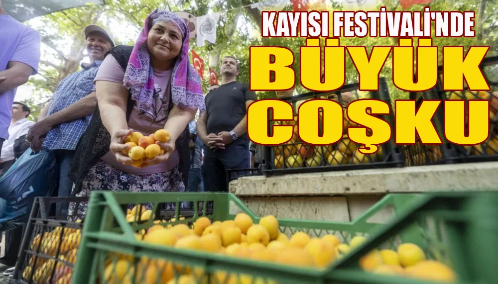 Kayısı Festivali