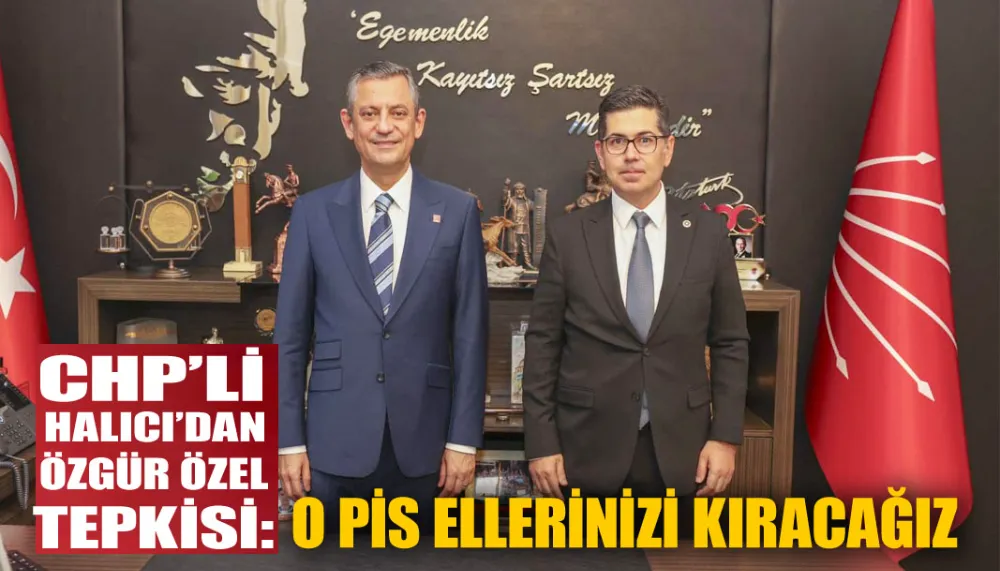 Halıcı