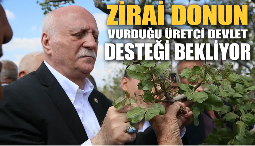 Zirai donun vurduğu üretci devlet desteği bekliyor