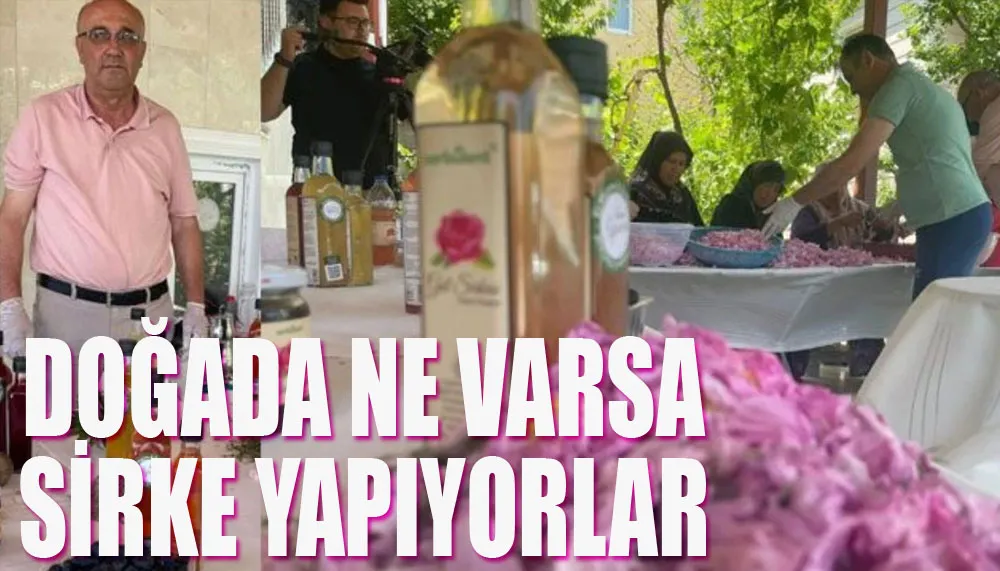 Doğada ne varsa sirke yapıyorlar