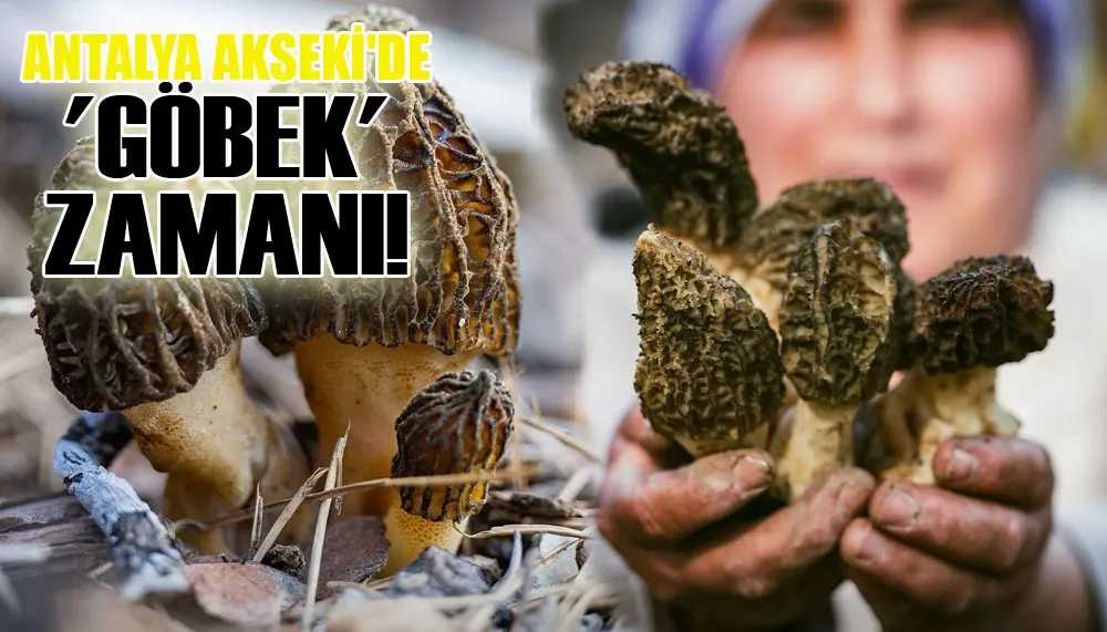Antalya Akseki