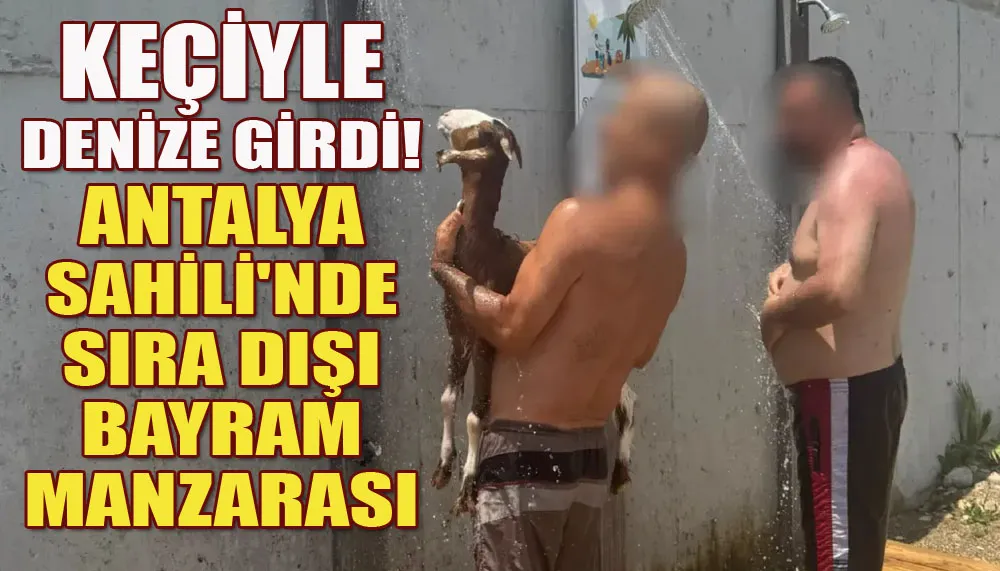 Keçiyle denize girdi! Antalya sahili