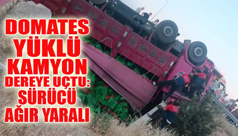 Domates yüklü kamyon dereye uçtu, sürücü ağır yaralı