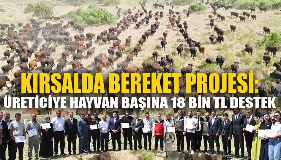 Kırsalda bereket projesi: Üreticiye hayvan başına 18 bin tl destek