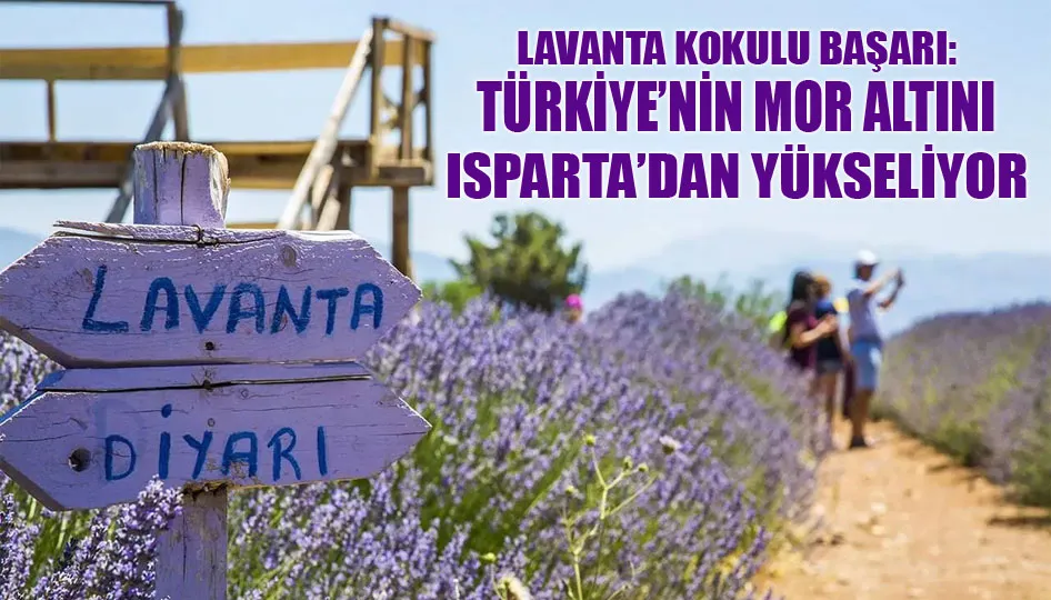 Lavanta kokulu başarı: Türkiye’nin mor altını Isparta’dan yükseliyor