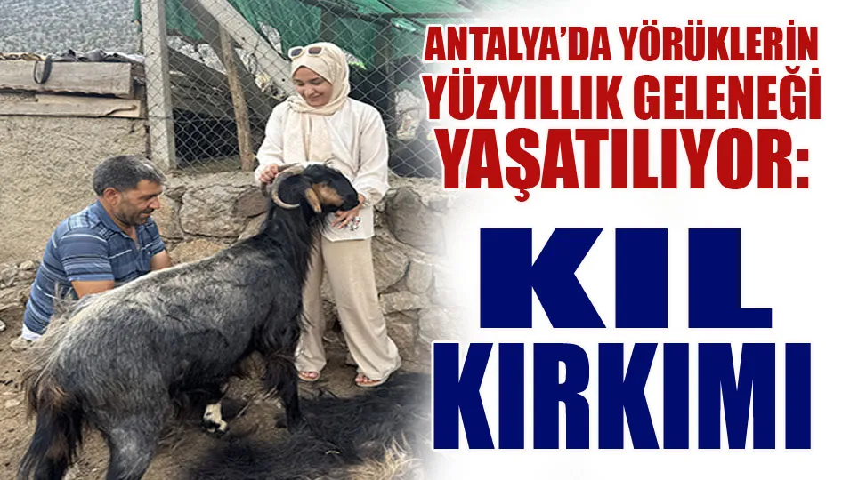 Antalya’da yörüklerin yüzyıllık geleneği yaşatılıyor: Kıl kırkımı