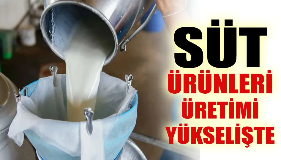 Süt ürünleri üretimi yükselişte