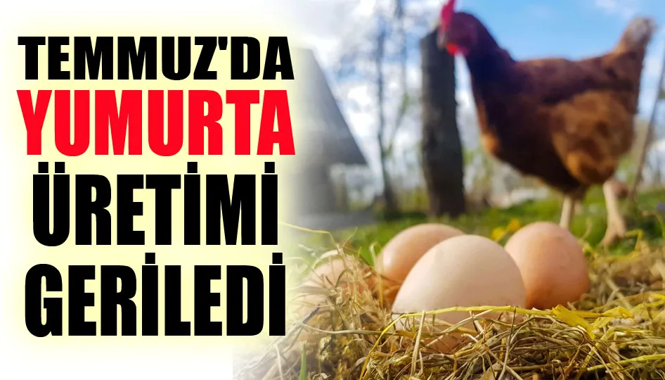 Temmuz