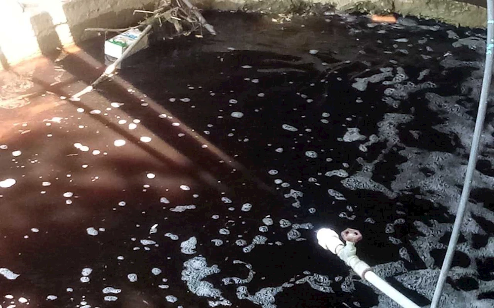 Bursa Gemlik Küçük Kumla’da tedirgin eden görüntüler