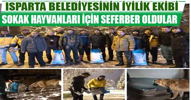 ISPARTA BELEDİYESİNİN İYİLİK EKİBİ SOKAK HAYVANLARI İÇİN SEFERBER OLDULAR